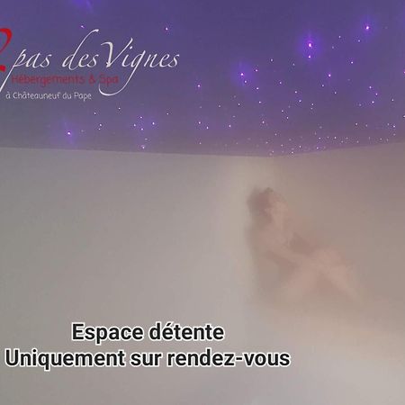 A 2 Pas Des Vignes, Hebergements Et Spa, Maison Numero 6, A Chateauneuf Du Pape Εξωτερικό φωτογραφία